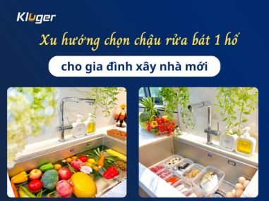 xu huong chon chau 1 ho cho nha moi avt